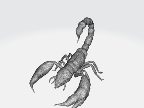 Realistic Scorpion 3D Model
