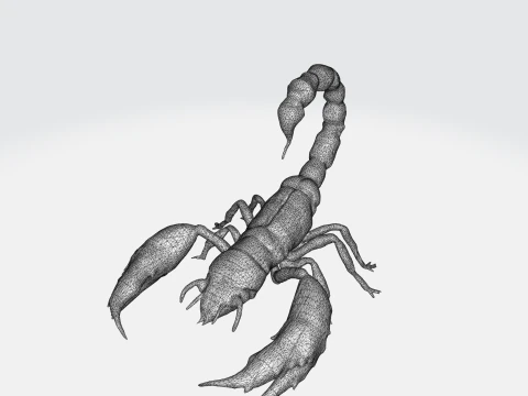 Realistic Scorpion 3D Model