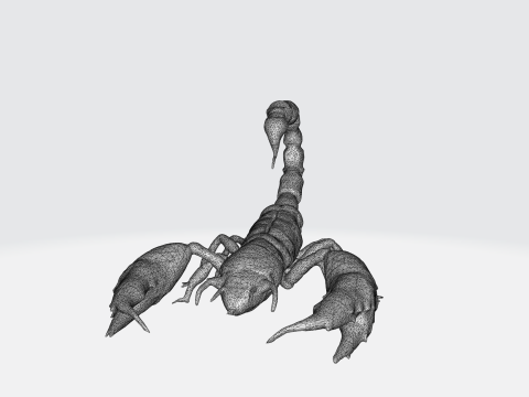 Realistic Scorpion 3D Model