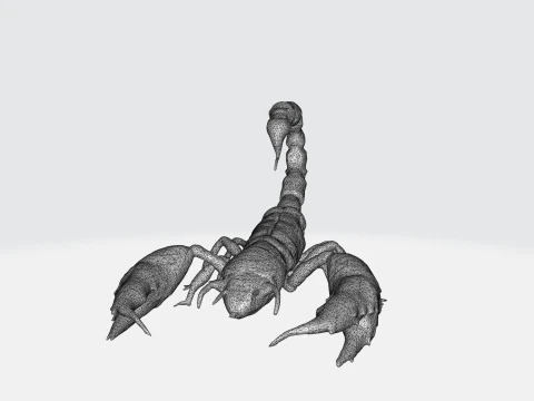 Realistic Scorpion 3D Model
