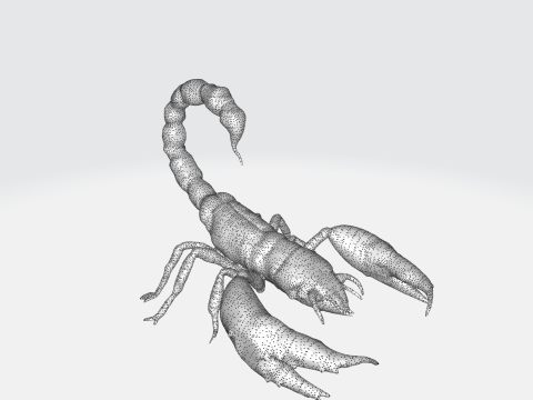 Realistic Scorpion 3D Model