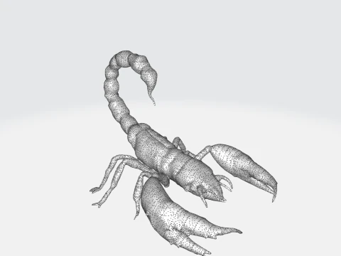 Realistic Scorpion 3D Model