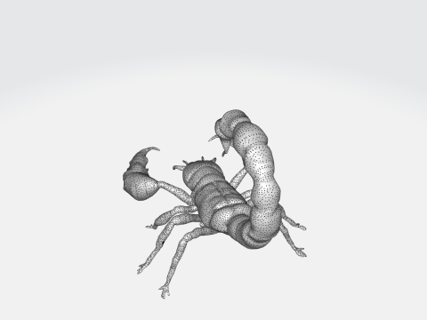 Realistic Scorpion 3D Model