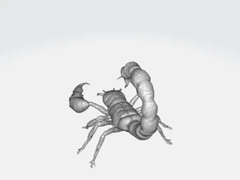 Realistic Scorpion 3D Model