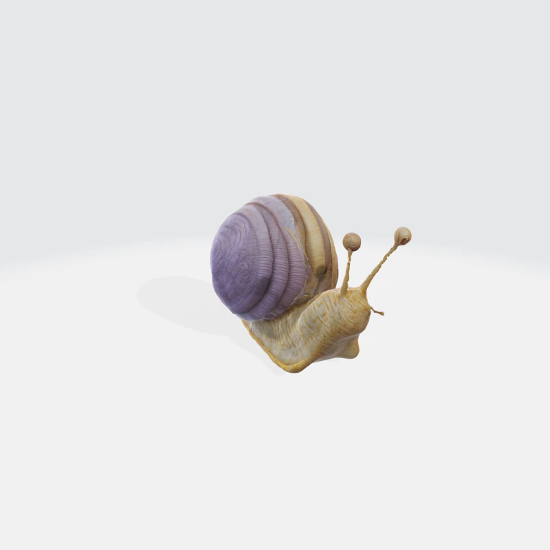 Escargot réaliste Modèle 3D .c4d .max .obj .3ds .fbx .stl .blend