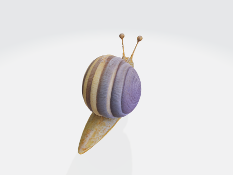 Realistic snail 3Dモデル