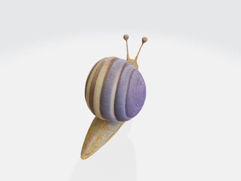 Escargot r&eacute;aliste Modèle 3D
