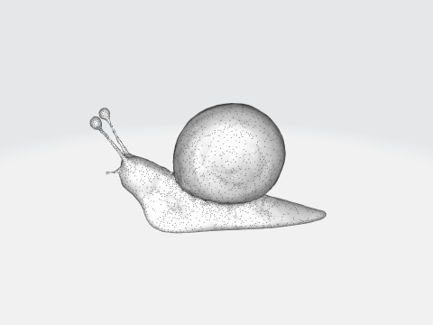 Realistic snail 3Dモデル