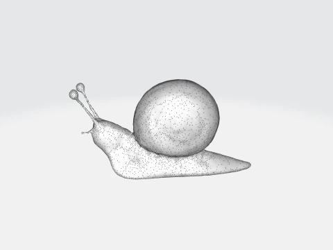 Escargot r&eacute;aliste Modèle 3D