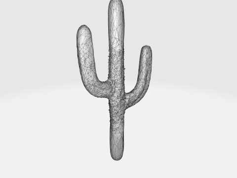 Saguaro Cactus 3D-Modell