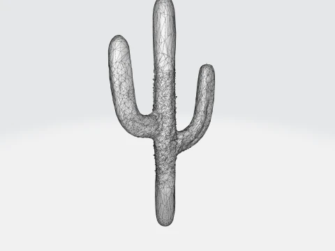 Saguaro Cactus 3D Model