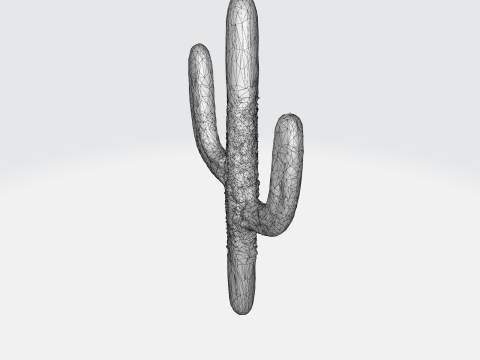 Saguaro Cactus 3D-Modell