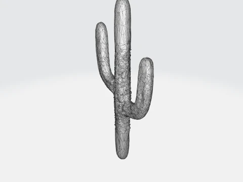 Saguaro Cactus 3D Model