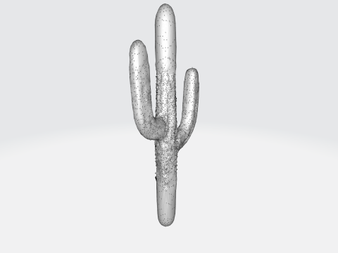 Saguaro Cactus 3D-Modell