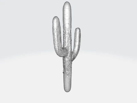 Saguaro Cactus 3D Model