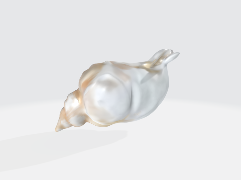 Realistic Seashell - Conch Shell Asset 3Dモデル