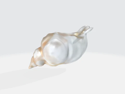 Realistic Seashell - Conch Shell Asset 3D Model