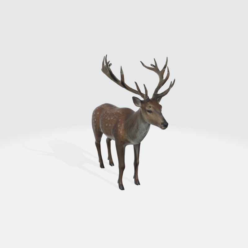 Realistic Deer - Wildlife Animal 3D Модель .c4d .max .obj .3ds .fbx .stl .blend