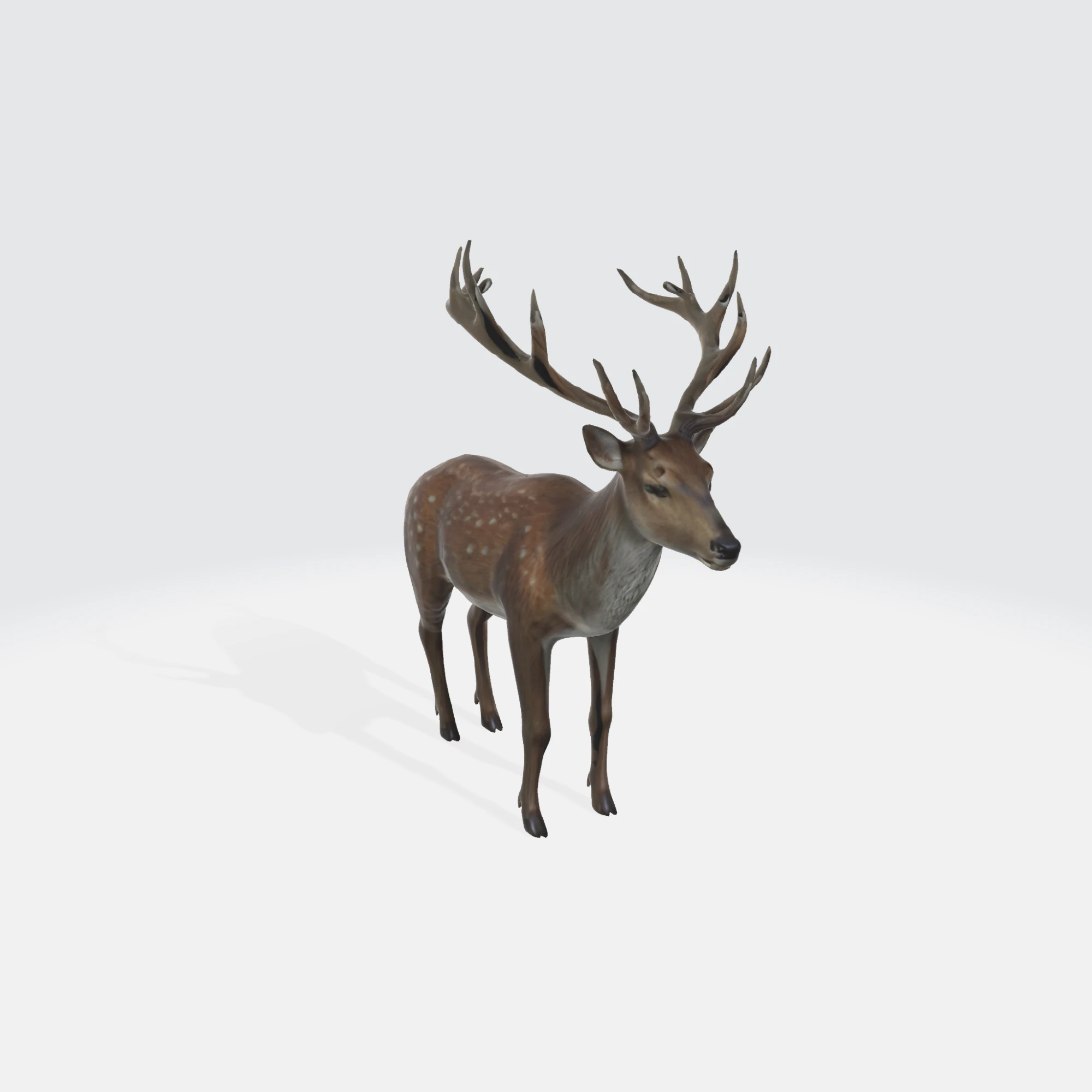 Realistic Deer - Wildlife Animal 3D Model .c4d .max .obj .3ds .fbx .stl .blend 