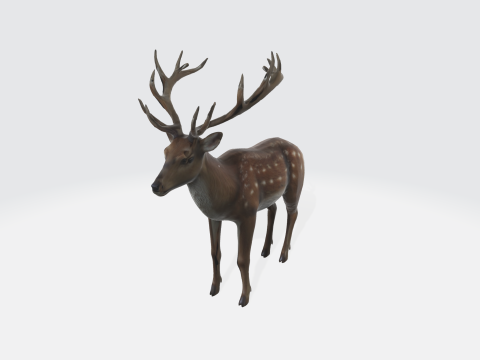 Realistic Deer - Wildlife Animal 3D Модель