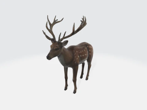 Realistic Deer - Wildlife Animal 3D Model