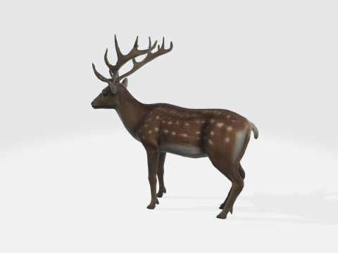 Realistic Deer - Wildlife Animal 3D Модель