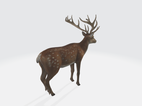 Realistic Deer - Wildlife Animal 3D Модель
