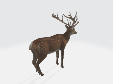 Realistic Deer - Wildlife Animal 3D Model