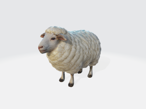 Realistic 3D Sheep Model - Low Poly Farm Animal Modello 3D