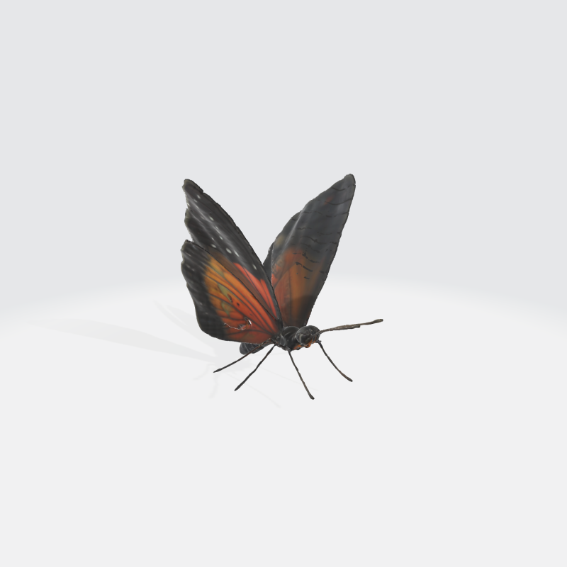 Realistic Butterfly - Orange Black Wings 3D 모델 .c4d .max .obj .3ds .fbx .stl .blend