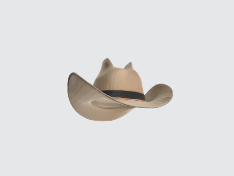 Realistic Cowboy Hat - Western Stetson Hat 3D 模型