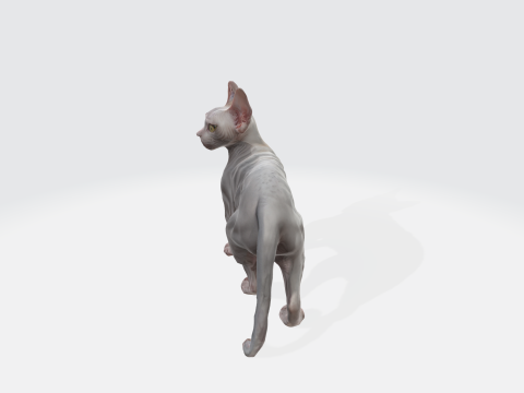 Realistic Sphynx Cat - Hairless Feline Character 3D मॉडल