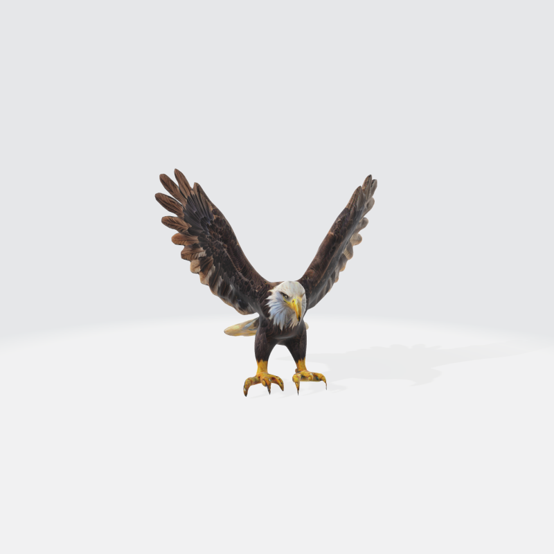 Realistic Bald Eagle - Wildlife Bird 3Dモデル .c4d .max .obj .3ds .fbx .stl .blend