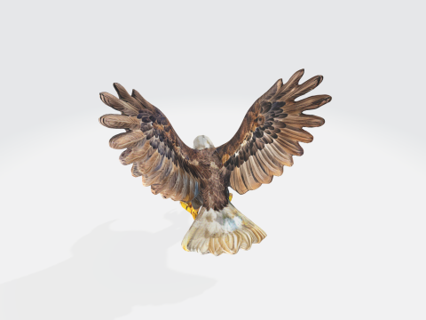 Realistic Bald Eagle - Wildlife Bird 3Dモデル
