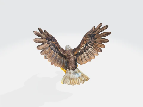 Realistic Bald Eagle - Wildlife Bird 3D Model