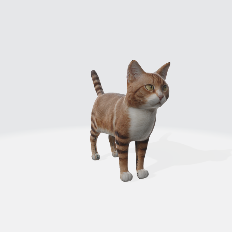Realistic Orange Tabby Cat 3D 模型 .c4d .max .obj .3ds .fbx .stl .blend