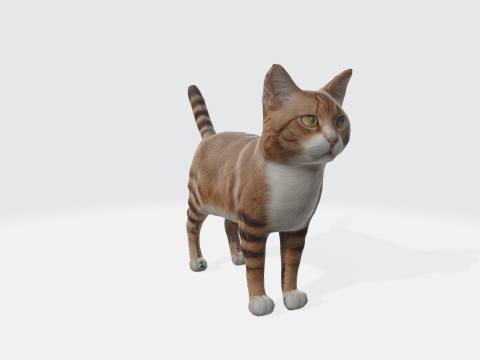Realistic Orange Tabby Cat 3D-Modell