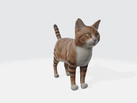 Gato malhado laranja realista Modelo 3D