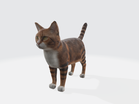 Realistic Orange Tabby Cat 3D 模型