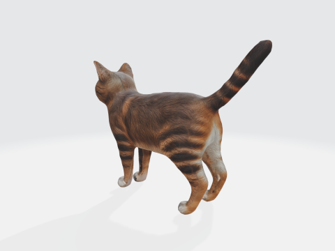 Realistic Orange Tabby Cat 3D 模型