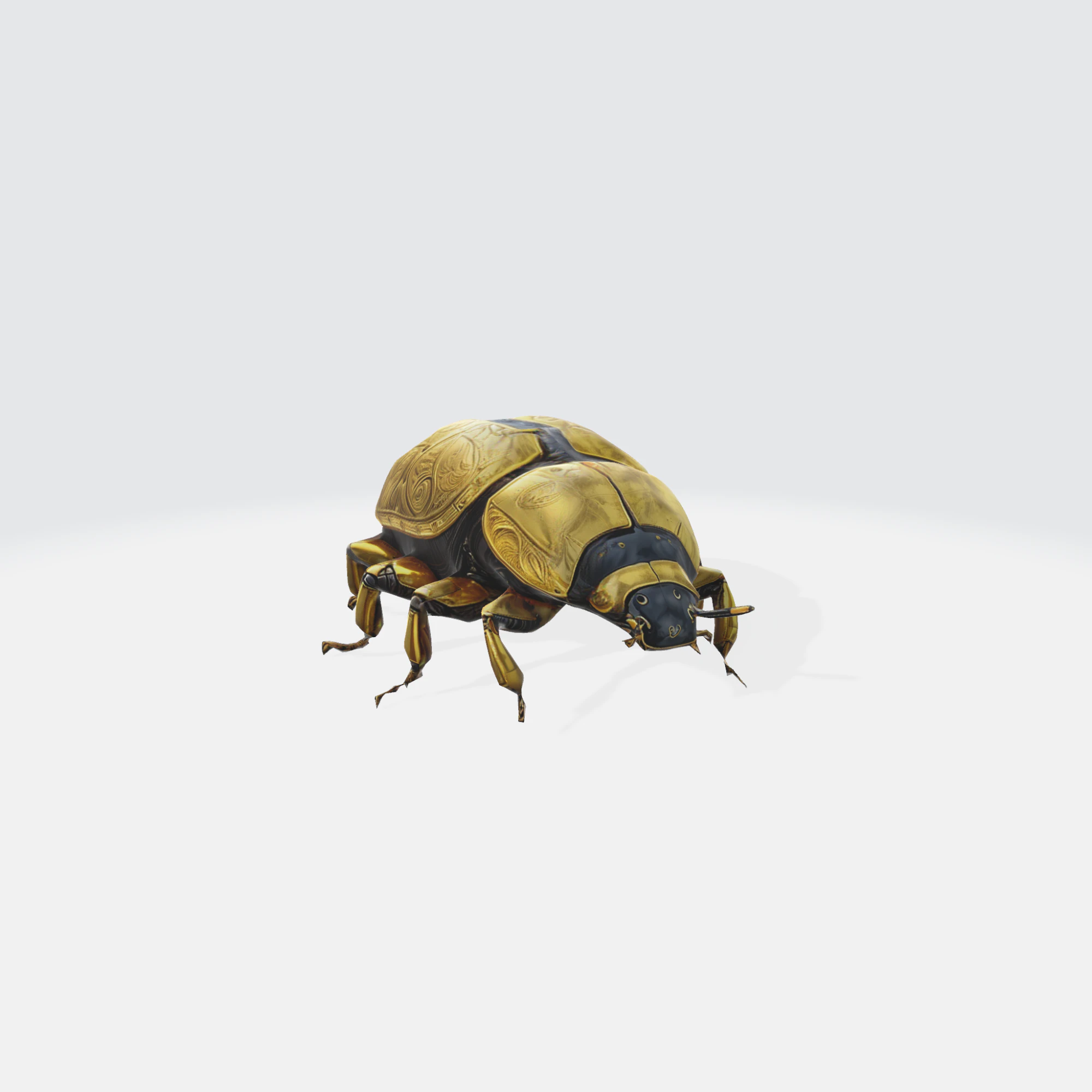 Realistic Beetle - Insect Asset 3D Model .c4d .max .obj .3ds .fbx .stl .blend
