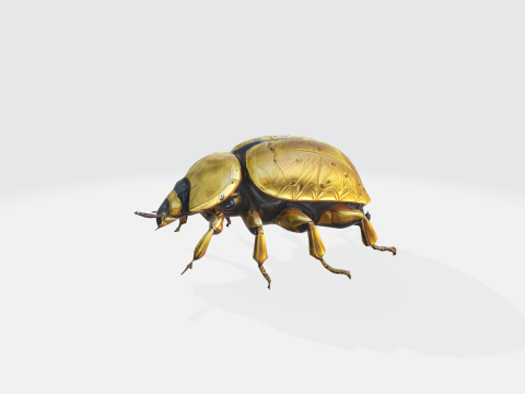 Realistic Beetle - Insect Asset Modèle 3D