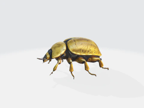 Realistic Beetle - Insect Asset 3D Model