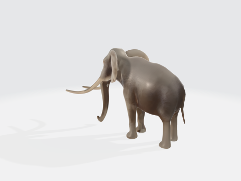 Realistic 3D Elephant Model - African Wildlife Animal Modèle 3D