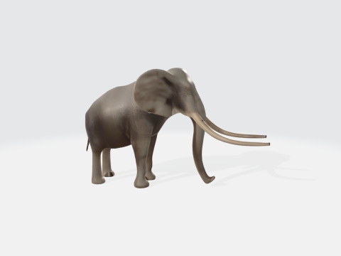 Realistic 3D Elephant Model - African Wildlife Animal Modèle 3D