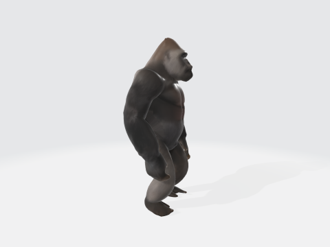 Realistic Gorilla - Primate Character Asset 3D Model