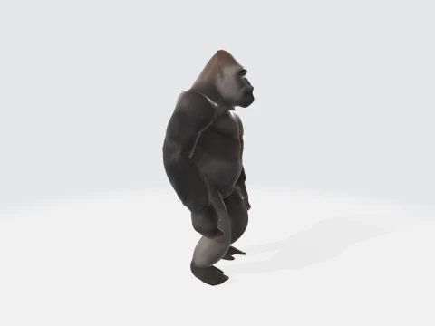 Realistic Gorilla - Primate Character Asset 3D Model
