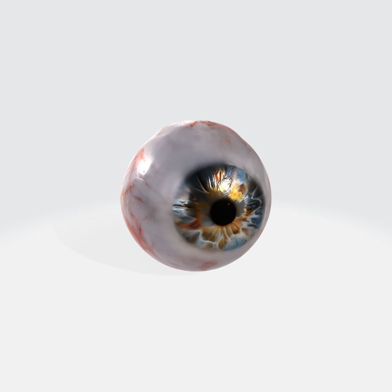 Realistic Human Eye - Anatomy Asset 3D-Modell .c4d .max .obj .3ds .fbx .stl .blend