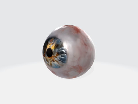 Realistic Human Eye - Anatomy Asset 3D-Modell