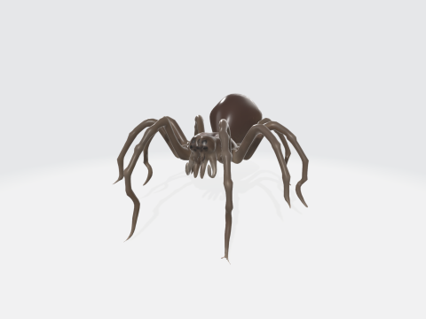 Realistic 3D Spider Model 3D Model